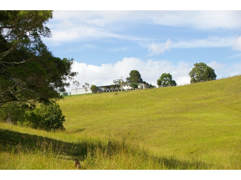 Kendall NSW 2439