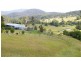 Kendall NSW 2439