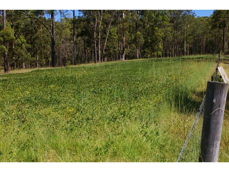 Kundabung NSW 2441