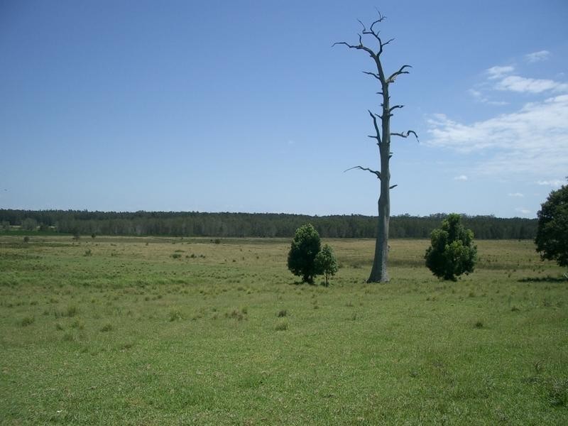 Crescent Head NSW 2440