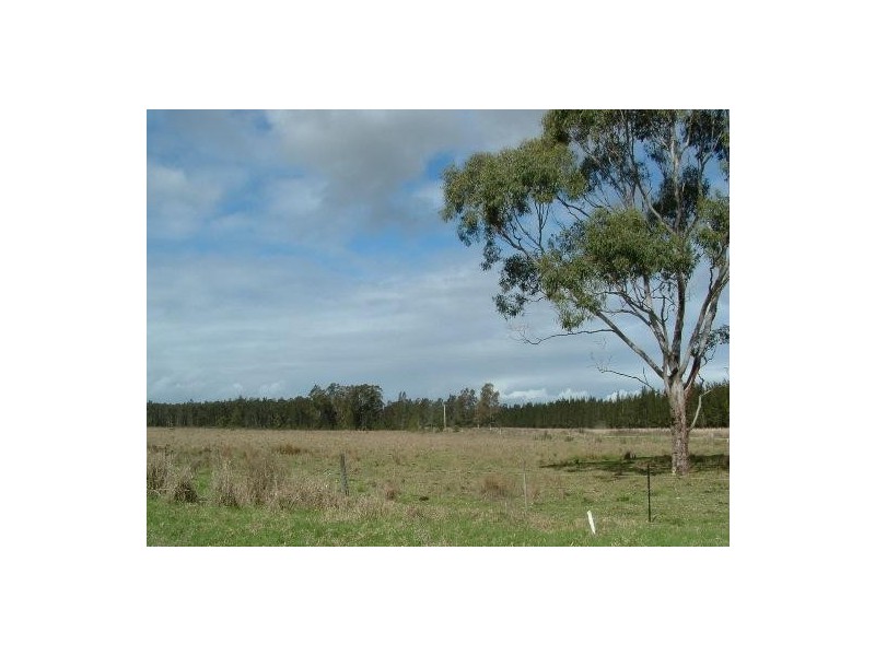 Crescent Head NSW 2440