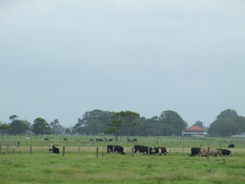 Summer Island NSW 2440