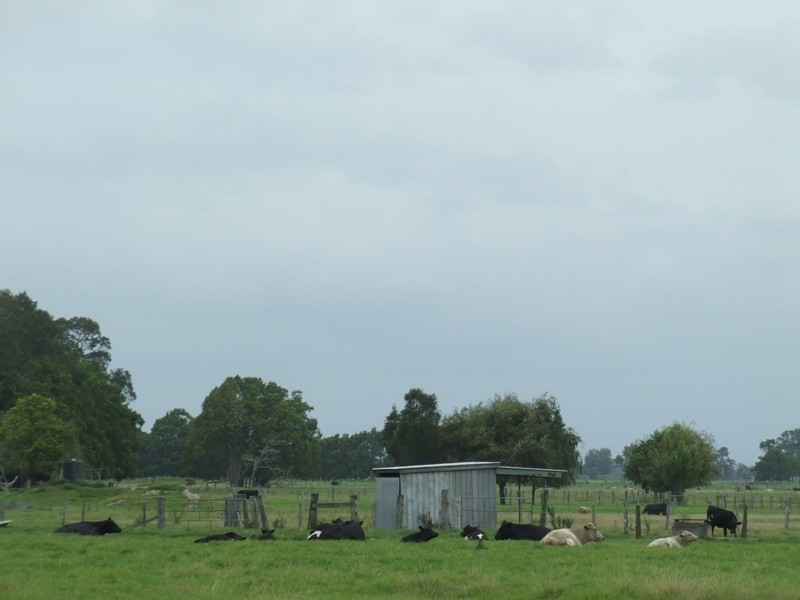 Summer Island NSW 2440