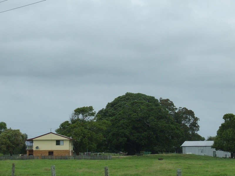 Summer Island NSW 2440