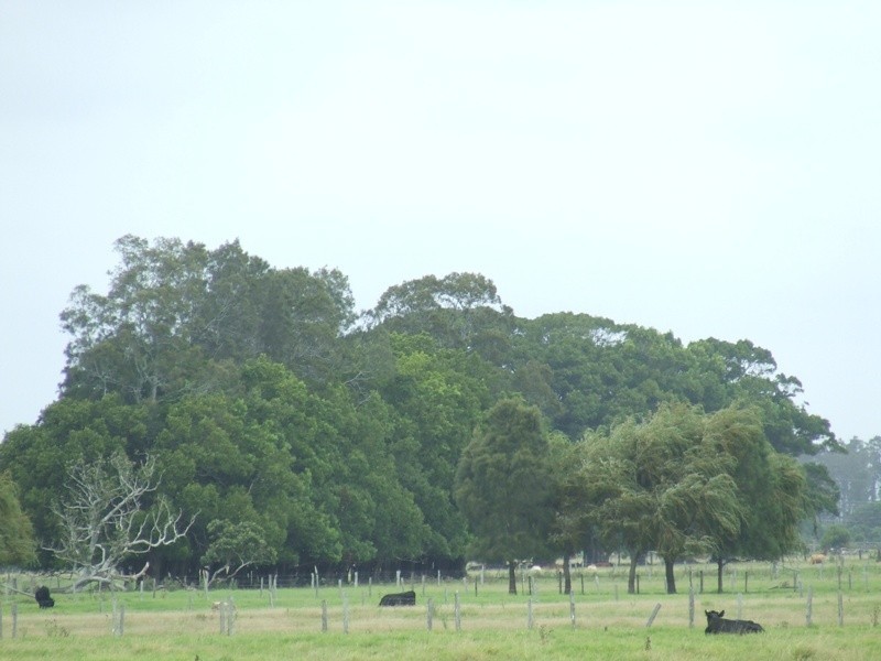 Summer Island NSW 2440