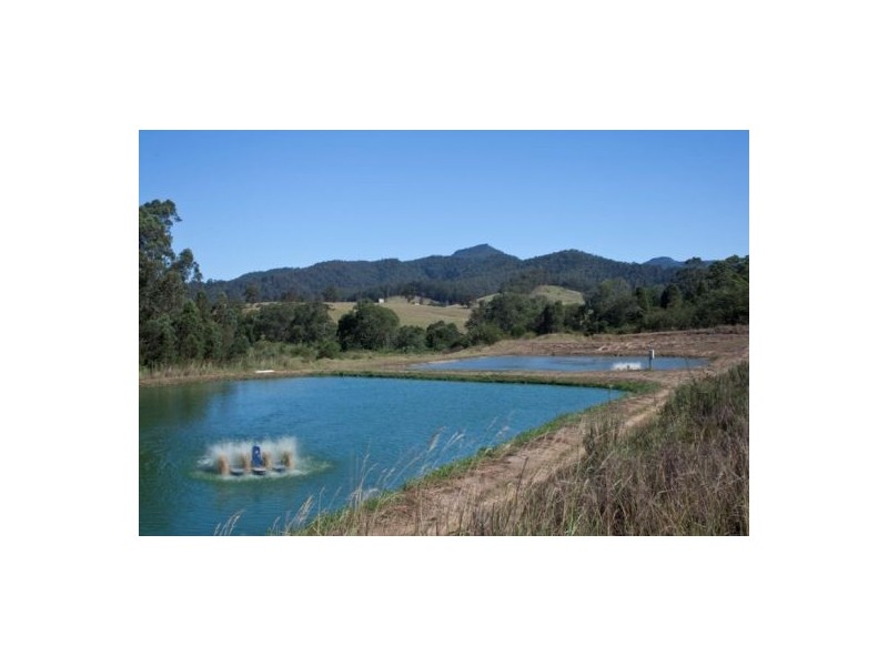 Byabarra NSW 2446