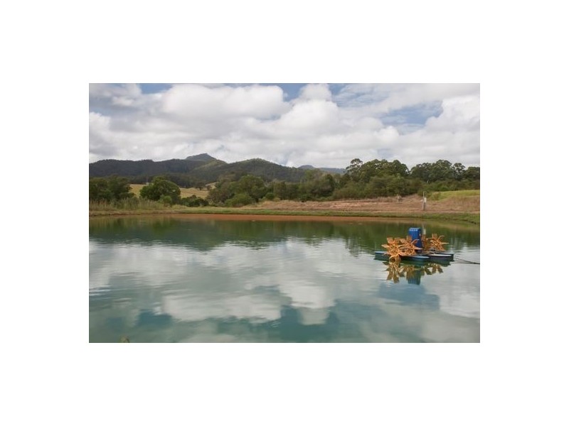 Byabarra NSW 2446