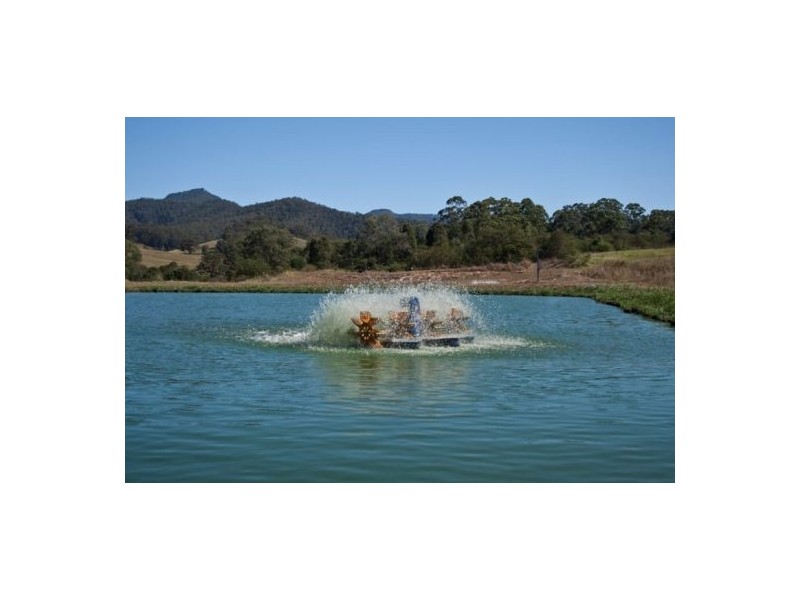 Byabarra NSW 2446