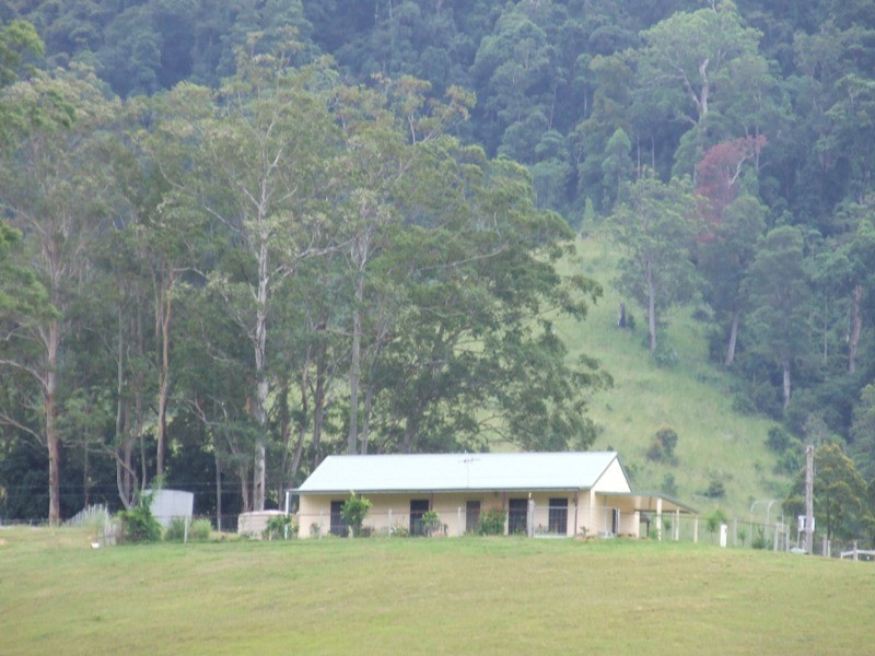 Kindee NSW 2446