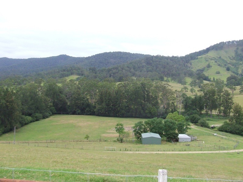 Kindee NSW 2446