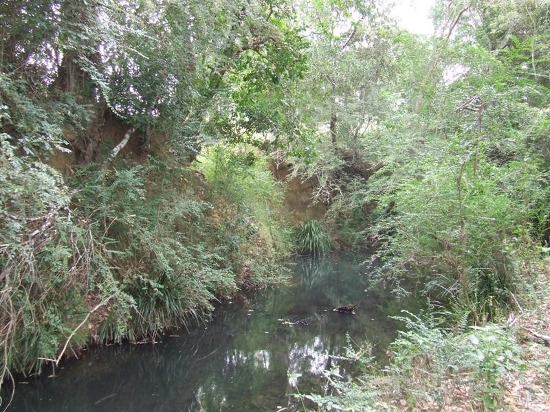 Kindee NSW 2446