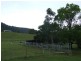 Kindee NSW 2446