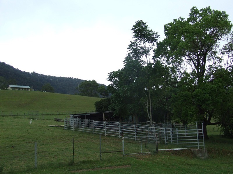 Kindee NSW 2446