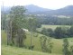 Kindee NSW 2446