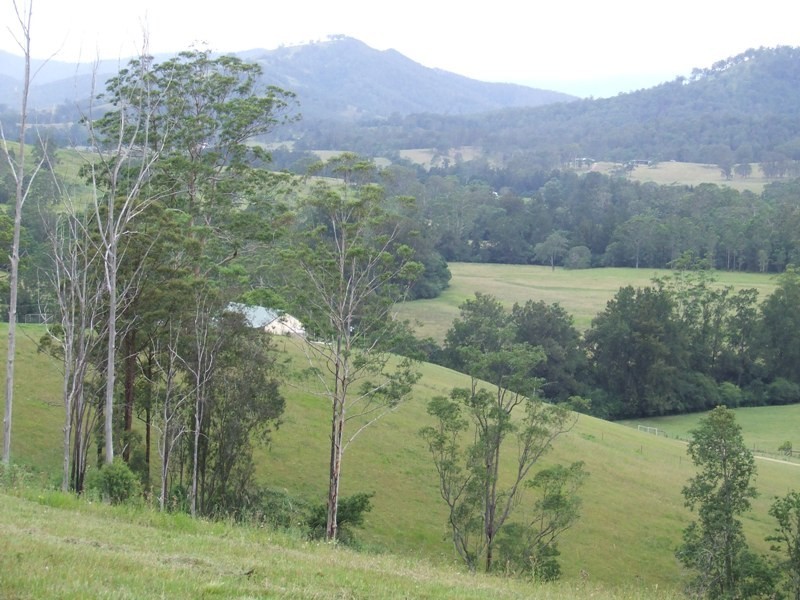 Kindee NSW 2446