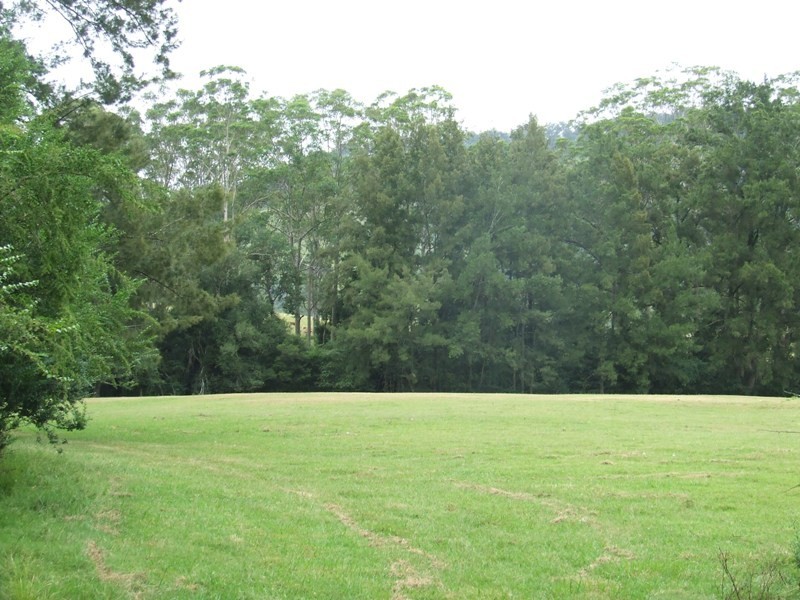 Kindee NSW 2446