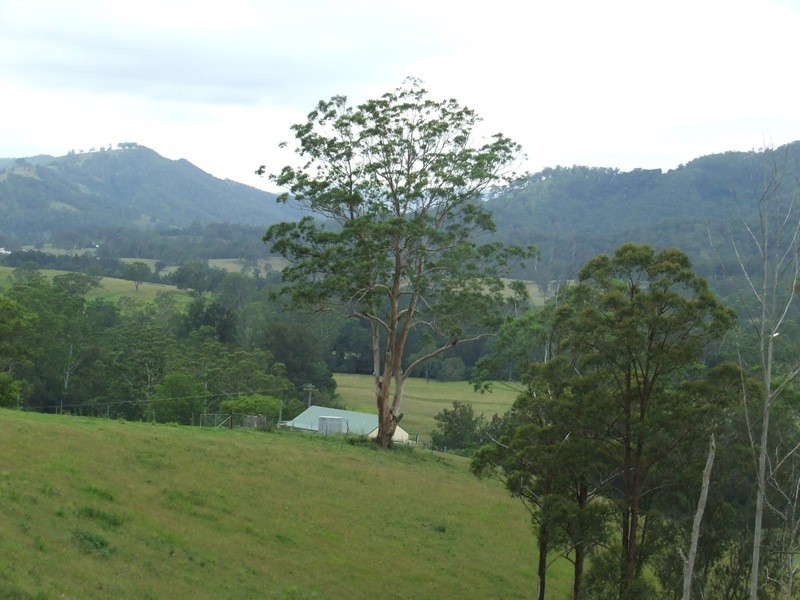 Kindee NSW 2446