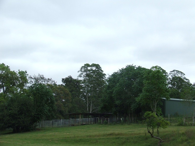 Kindee NSW 2446