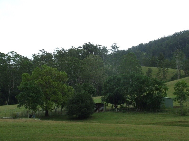Kindee NSW 2446
