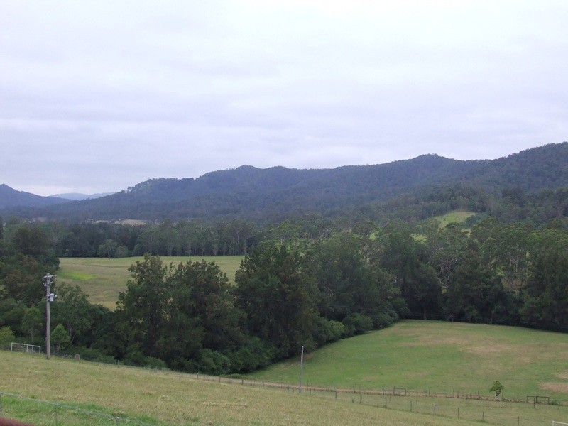 Kindee NSW 2446