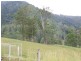 Kindee NSW 2446