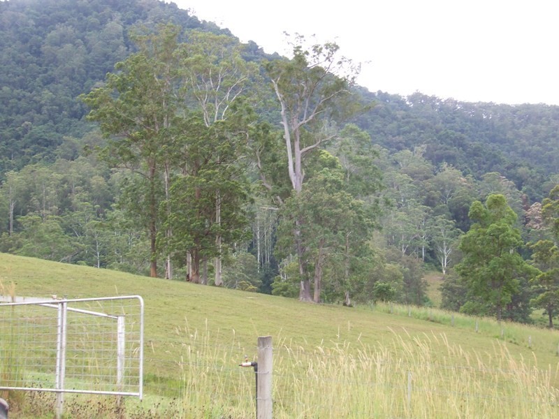 Kindee NSW 2446