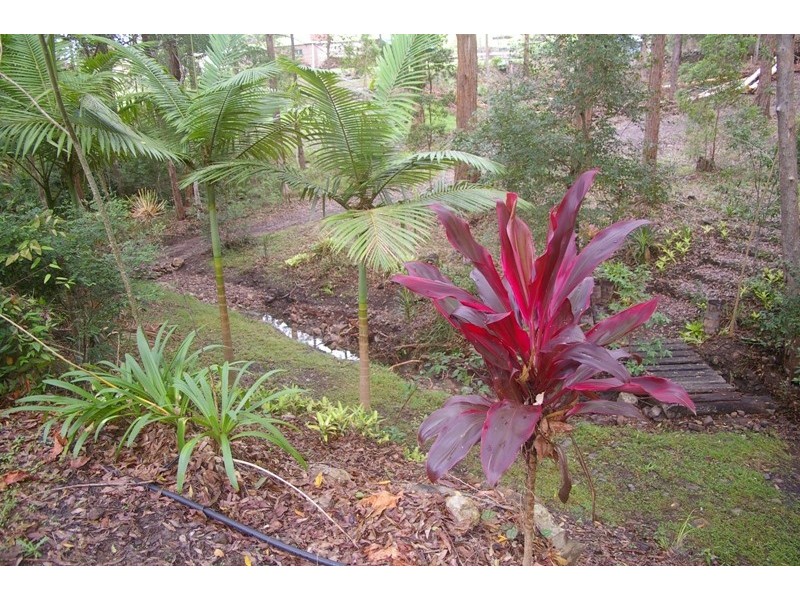 Telegraph Point NSW 2441