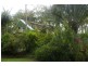 Telegraph Point NSW 2441