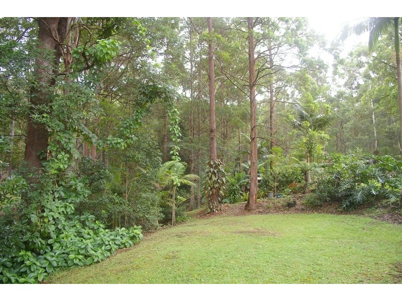 Telegraph Point NSW 2441