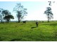 Clybucca NSW 2440