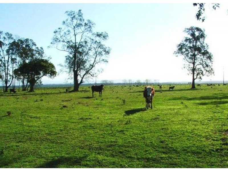 Clybucca NSW 2440