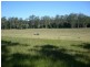Moorland NSW 2443