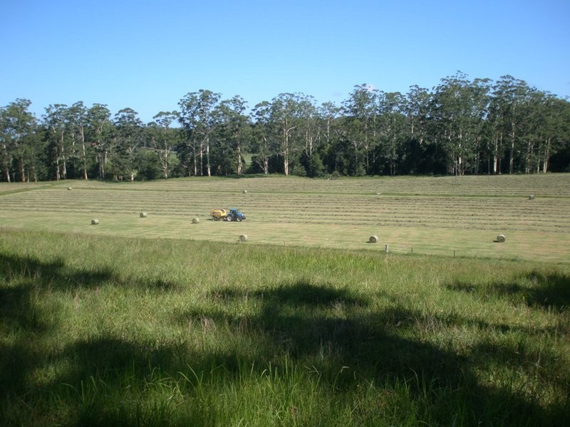 Moorland NSW 2443