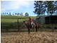 Moorland NSW 2443