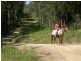 Moorland NSW 2443