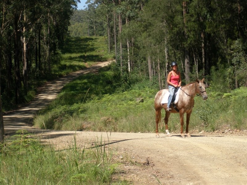 Moorland NSW 2443