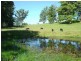 Moorland NSW 2443