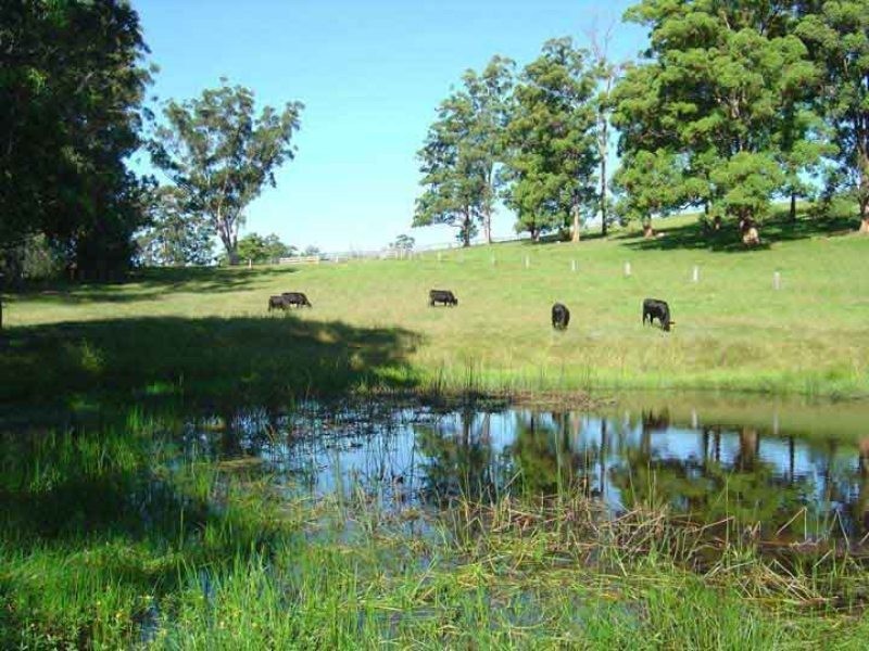 Moorland NSW 2443