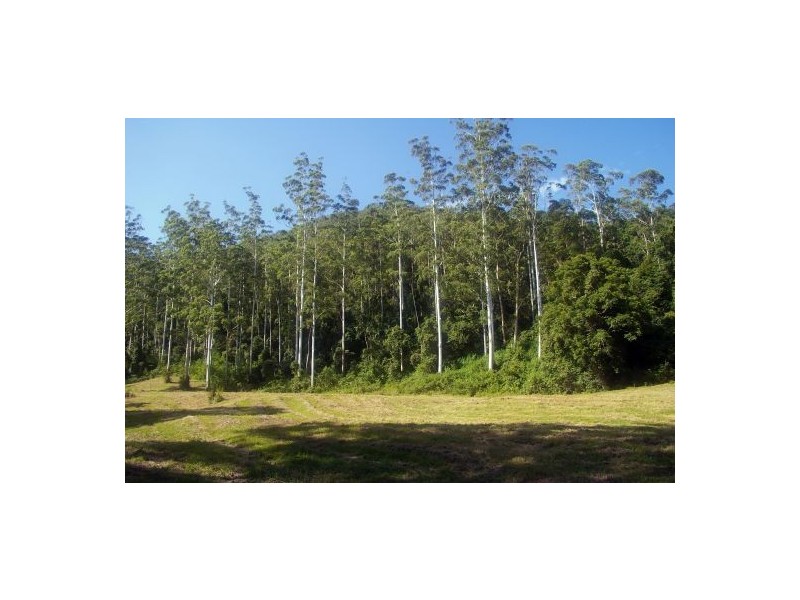 Rollands Plains NSW 2441