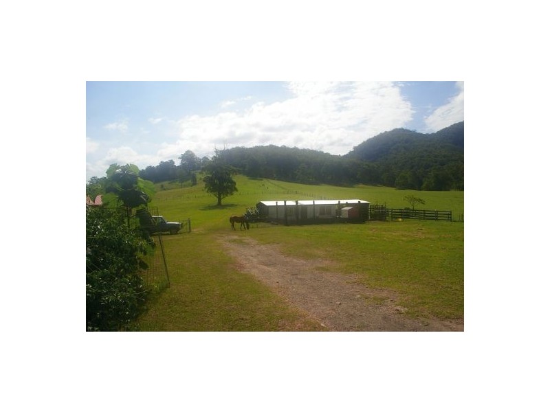 Rollands Plains NSW 2441