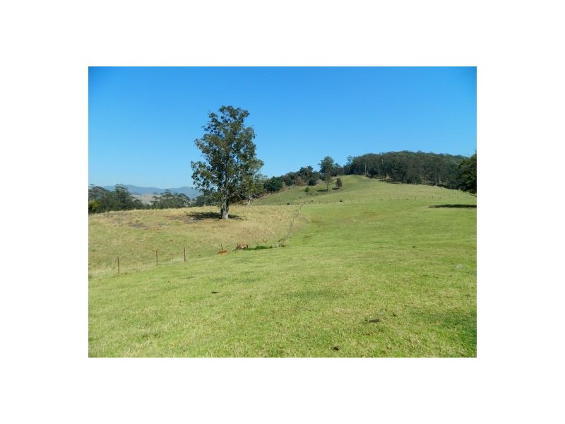 Rollands Plains NSW 2441