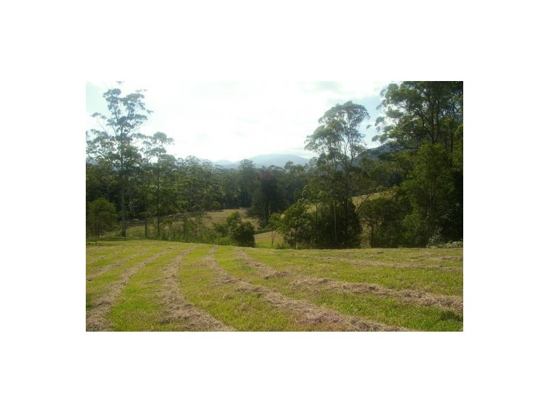 Rollands Plains NSW 2441