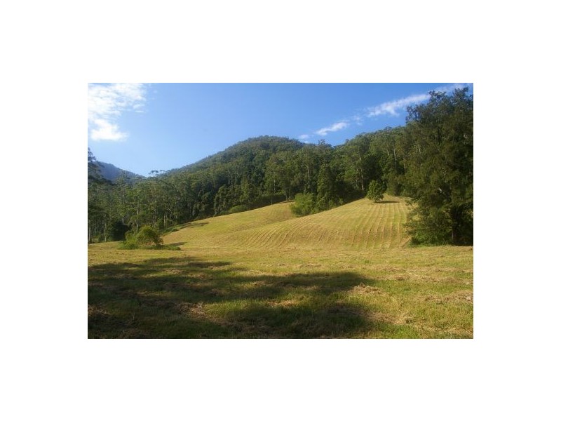 Rollands Plains NSW 2441