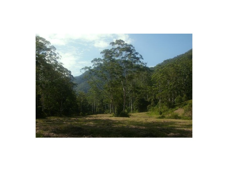 Rollands Plains NSW 2441