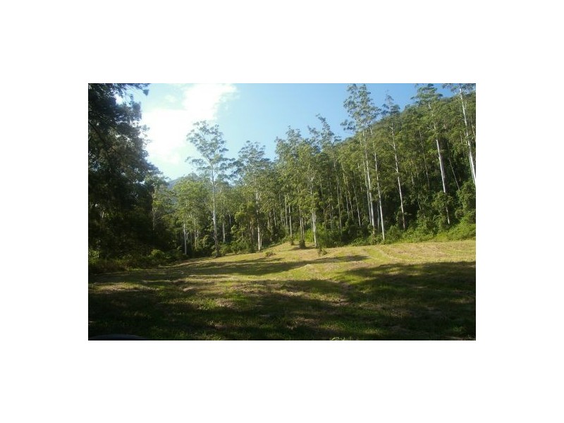 Rollands Plains NSW 2441