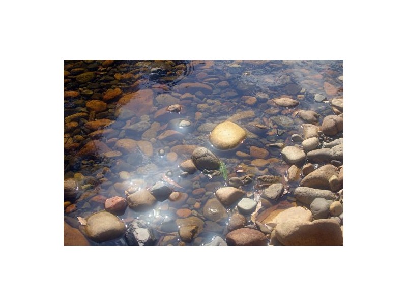 Rollands Plains NSW 2441