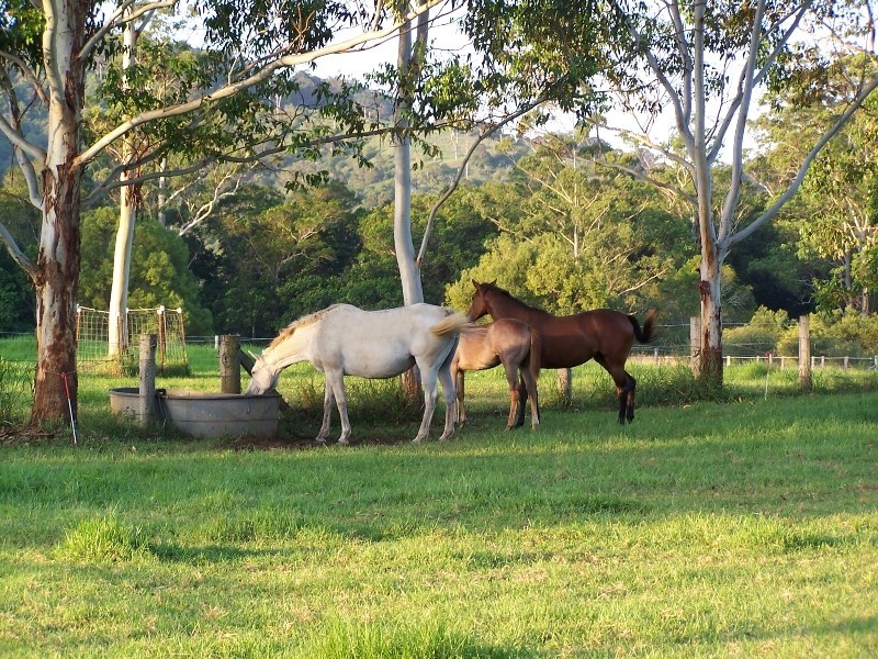 Hannam Vale NSW 2443