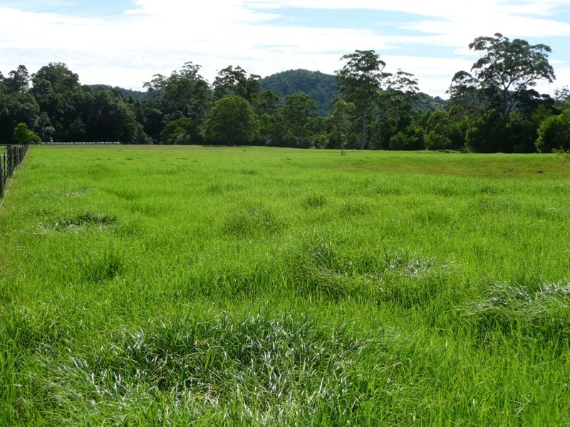 Hannam Vale NSW 2443