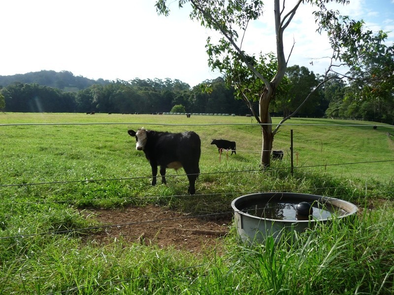 Hannam Vale NSW 2443