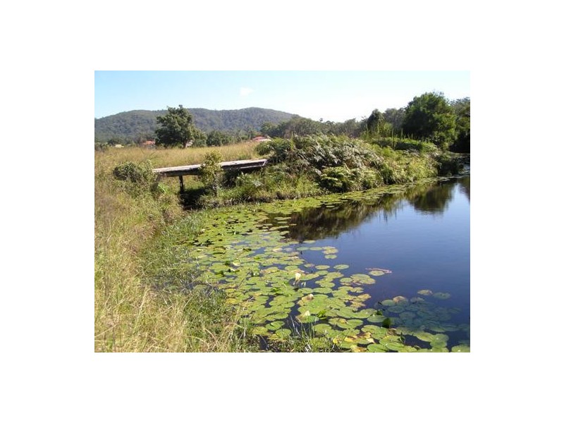 Logans Crossing NSW 2439